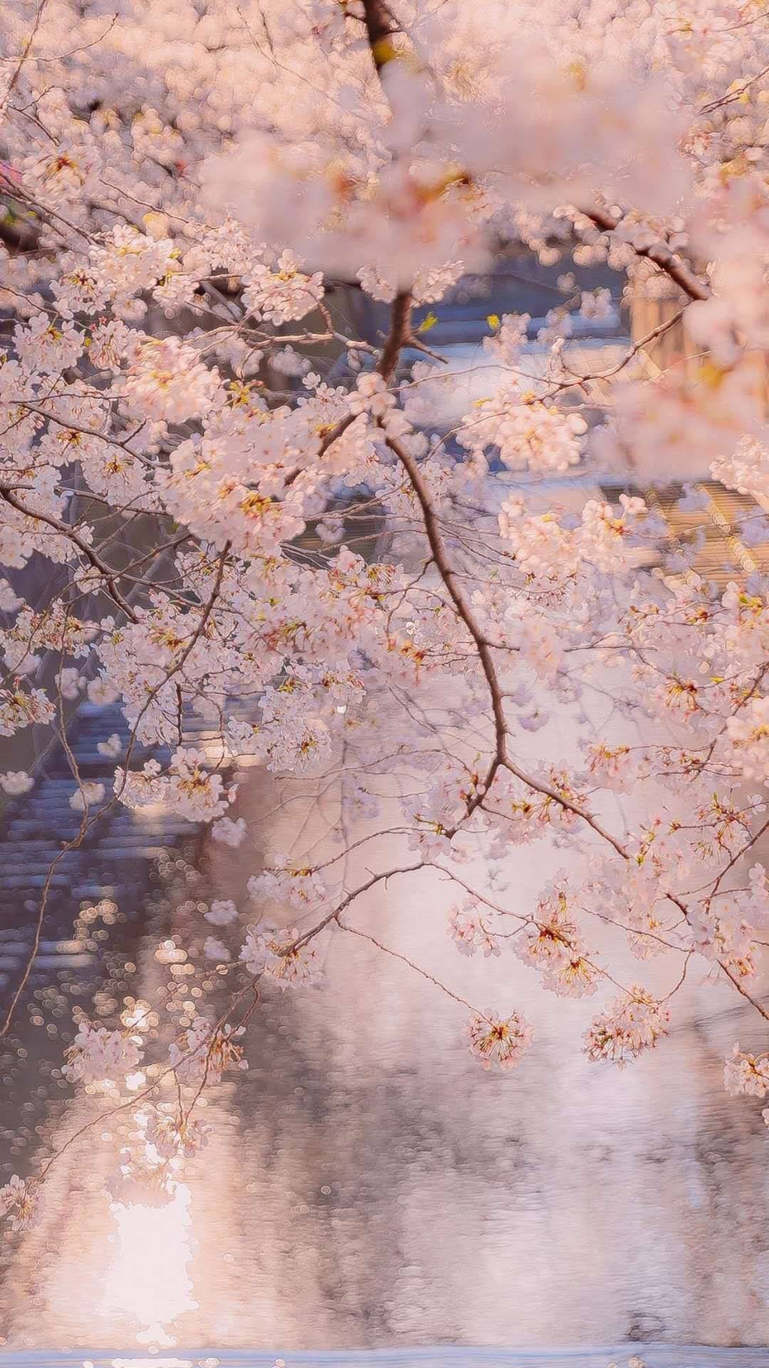 苹果手机极简壁纸壁纸预览