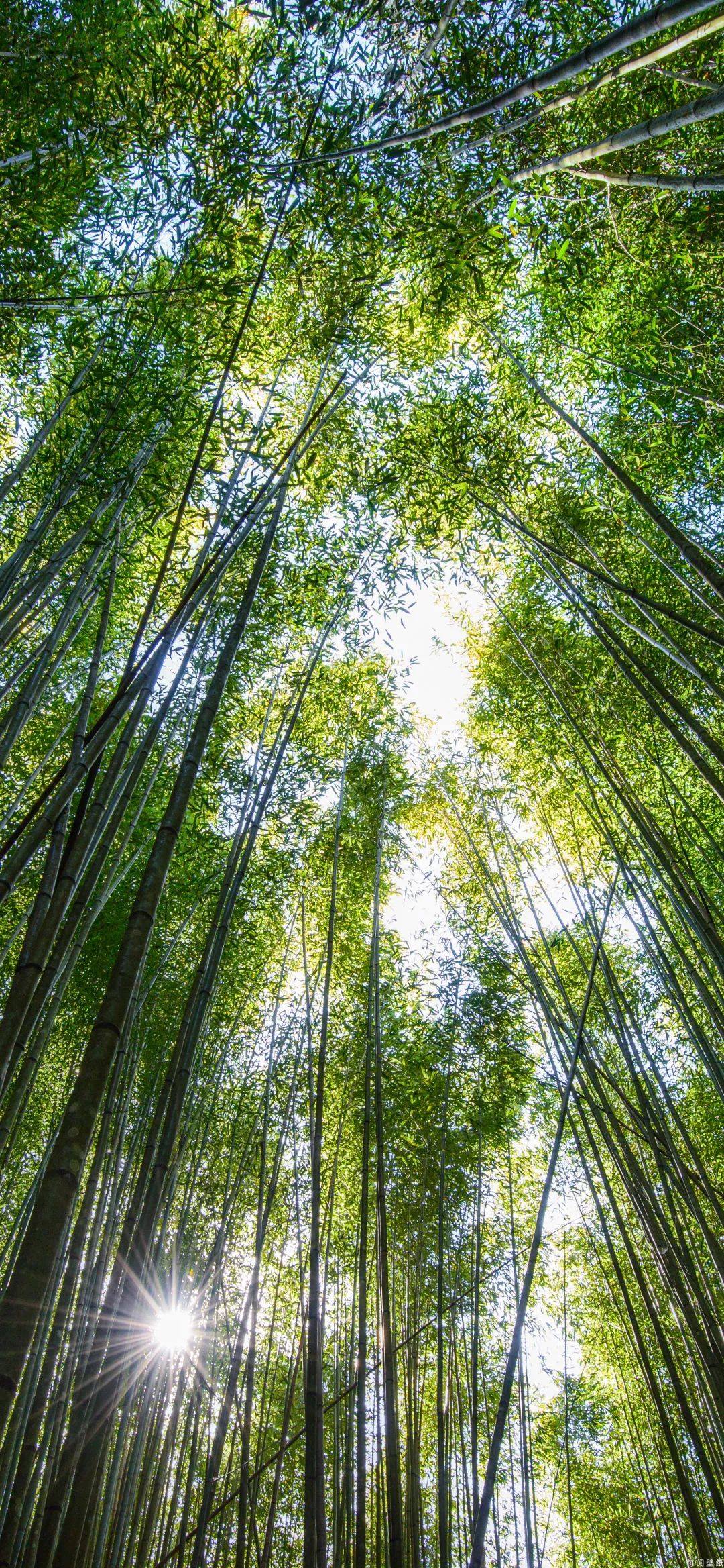 苹果手机极简壁纸壁纸预览