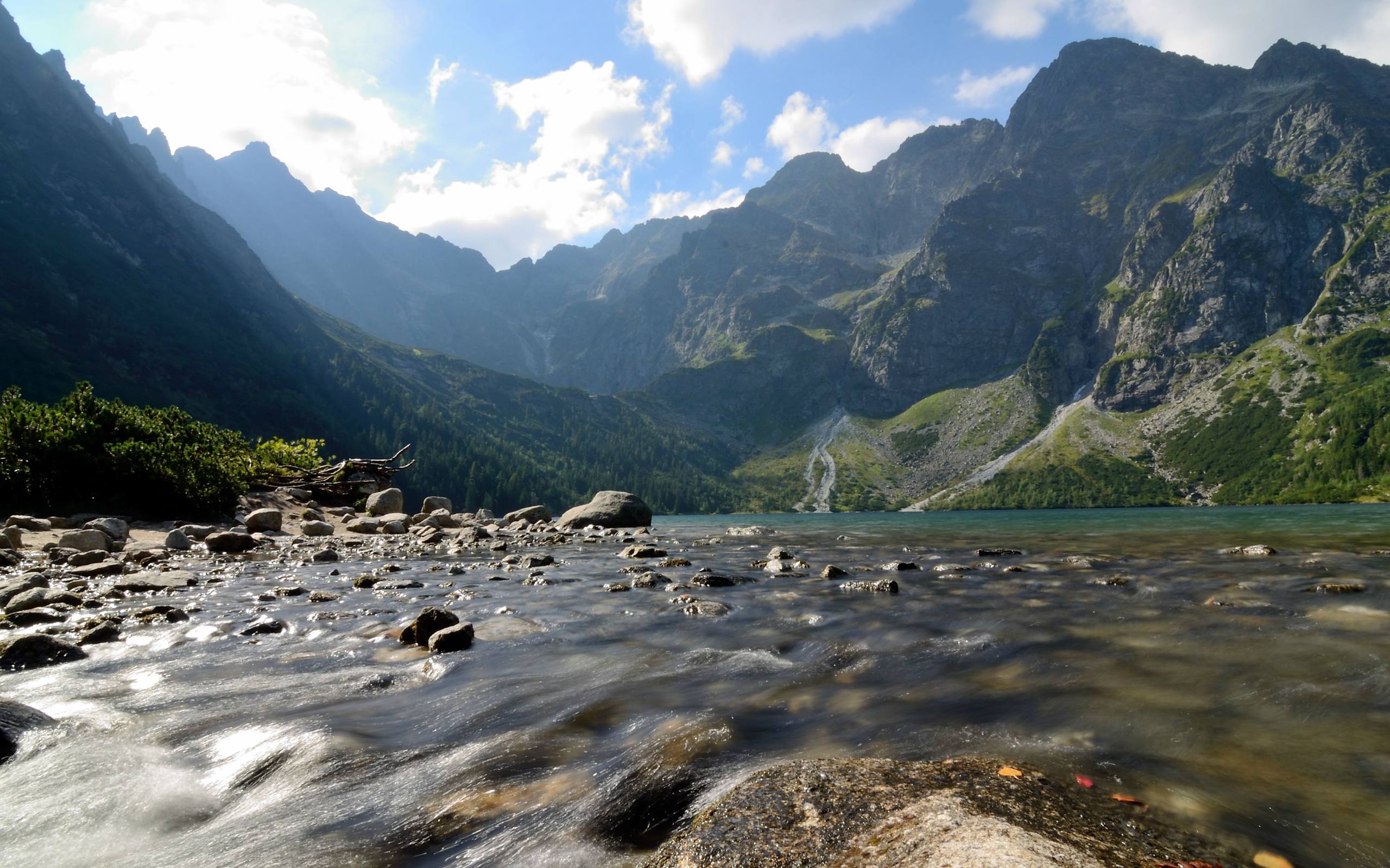 极简鱼游：苹果桌面上的唯美静态壁纸之旅详细内容1